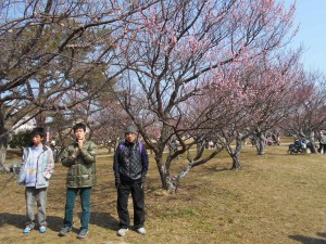 南公園梅まつり（2/28）