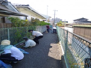 清掃活動