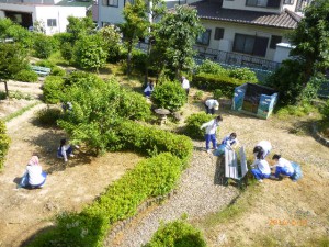 草取ボランティア