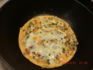 nozomi_omelet4