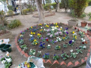 師走の花壇や畑の風景