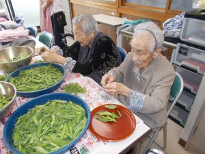 野菜収穫