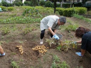 地域のおいでん家